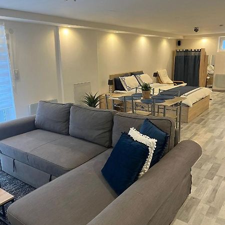 Tres Bel Appartement Type Loft De 40 M2 Dans Maison Avec Parking Privatif Линголсхайм Екстериор снимка