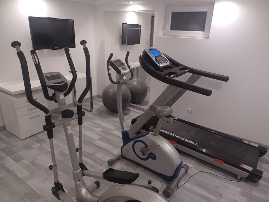 Tres Bel Appartement Type Loft De 40 M2 Dans Maison Avec Parking Privatif Линголсхайм Екстериор снимка