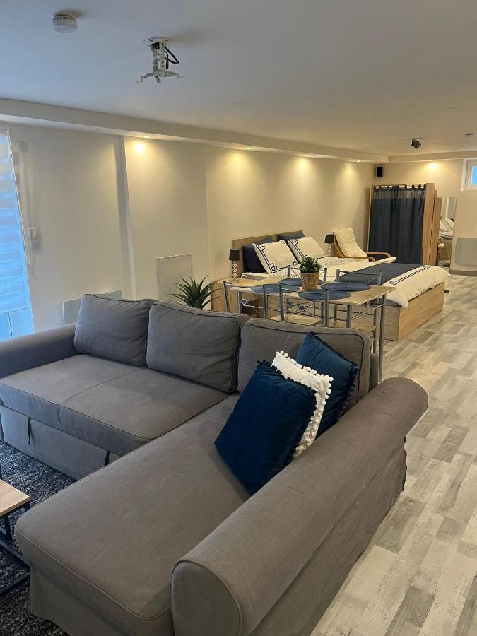 Tres Bel Appartement Type Loft De 40 M2 Dans Maison Avec Parking Privatif Линголсхайм Екстериор снимка