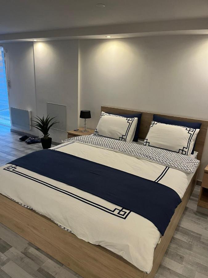 Tres Bel Appartement Type Loft De 40 M2 Dans Maison Avec Parking Privatif Линголсхайм Екстериор снимка