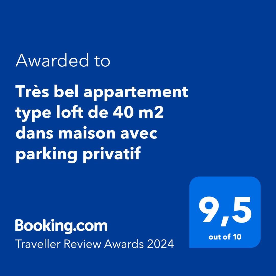 Tres Bel Appartement Type Loft De 40 M2 Dans Maison Avec Parking Privatif Линголсхайм Екстериор снимка