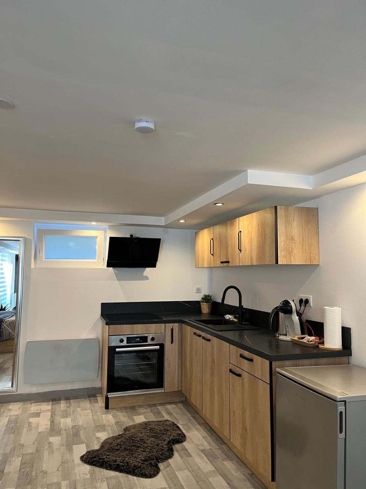 Tres Bel Appartement Type Loft De 40 M2 Dans Maison Avec Parking Privatif Линголсхайм Екстериор снимка
